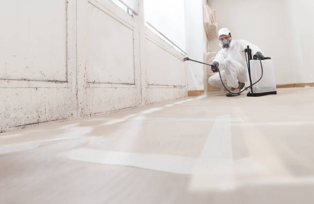 Trusted Mold Inspection service in Norwood, PA - WQB Mold Removal