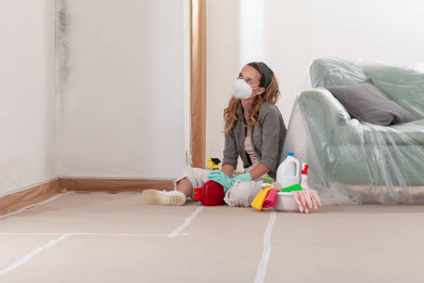 Reliable Mold Inspection contractor in Norwood, PA by WQB Mold Removal